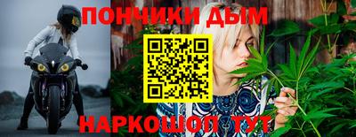 гидра Михайловск