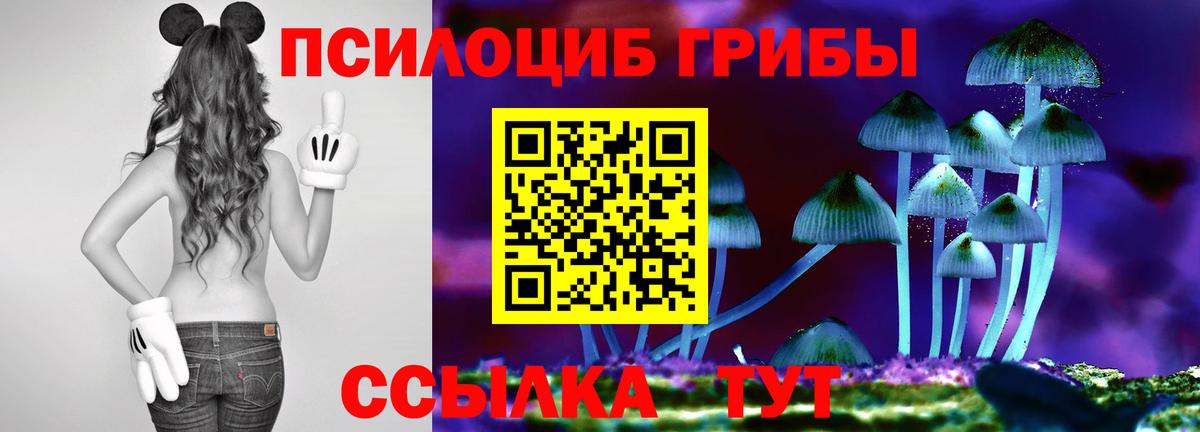 Звенигород  цена   Вход с VPN  Галлюциногенные грибы MAGIC MUSHROOMS  Псилоцибиновые грибы ЛСД 